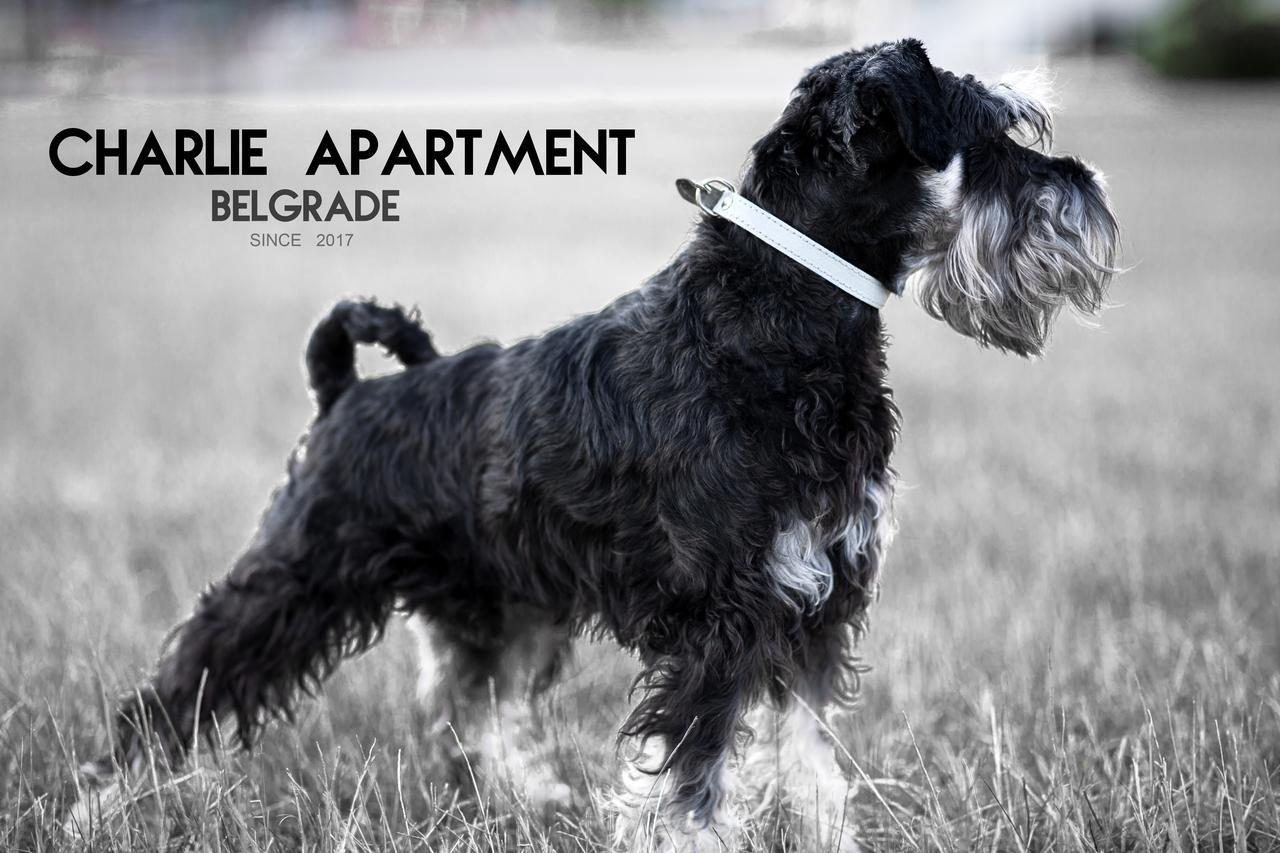 Apartment Charlie Perfect Price 베오그라드 외부 사진